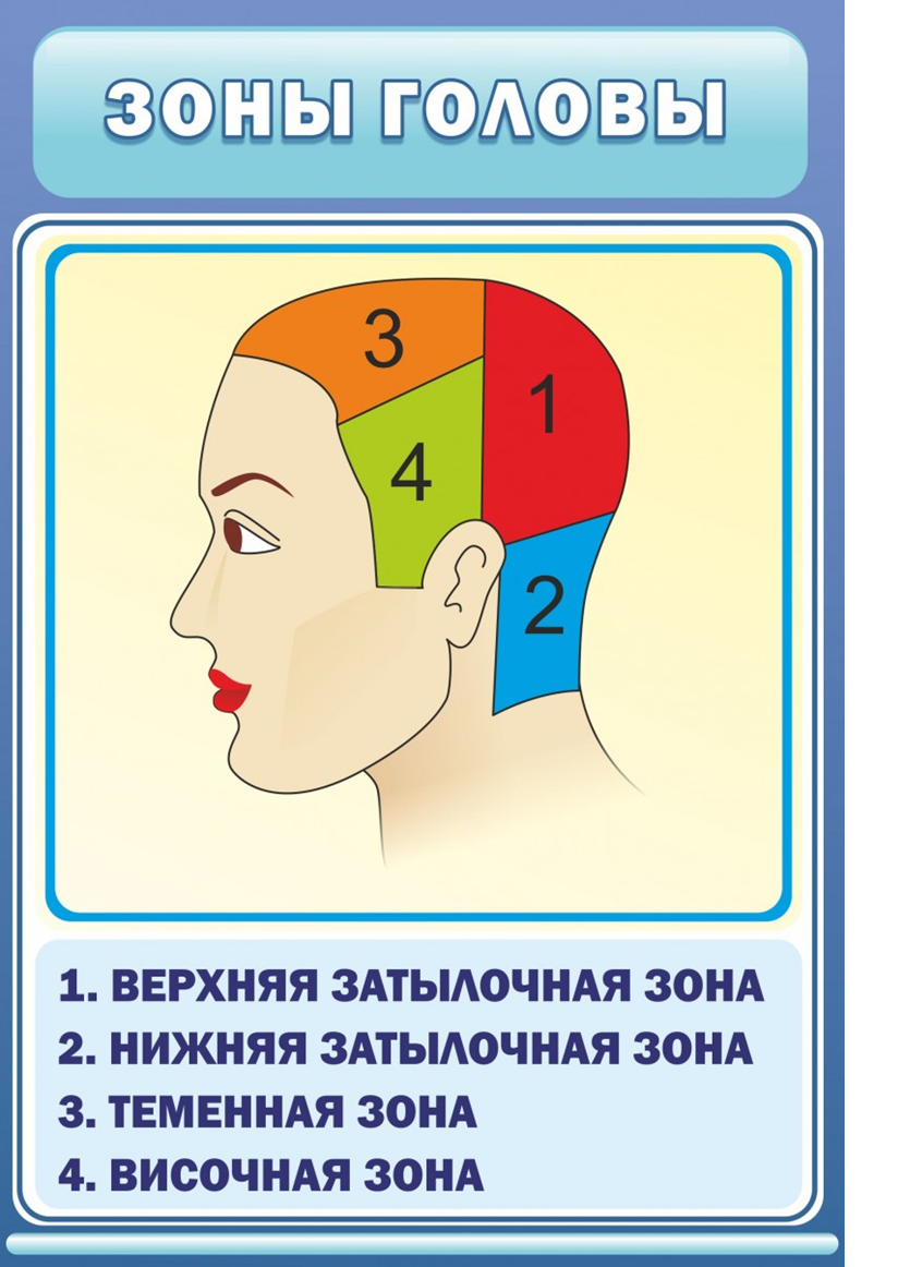 Накладка на теменную часть головы А.